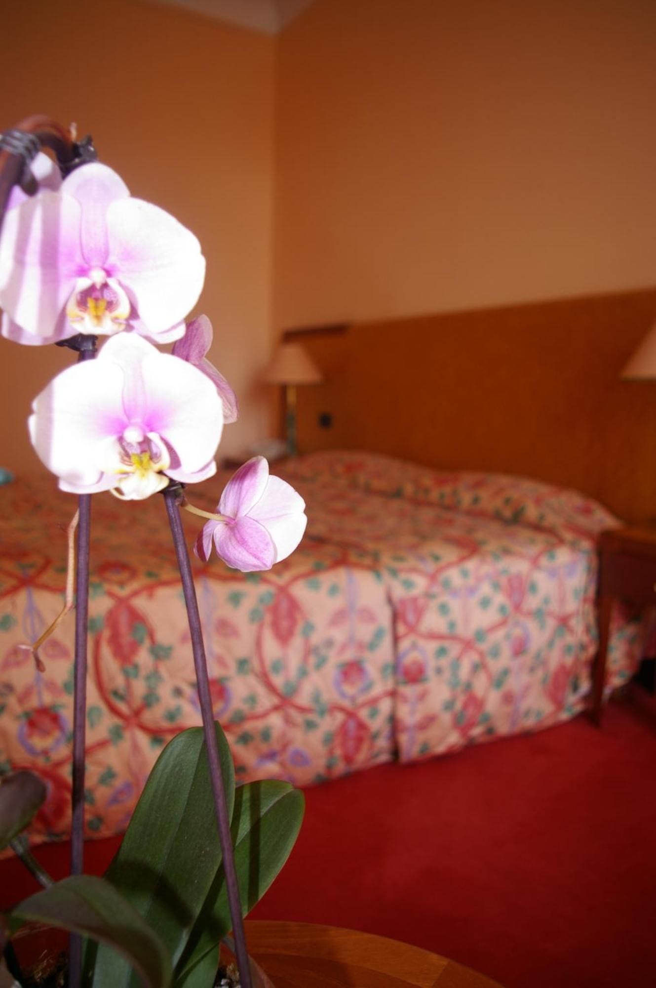Hotel Aletti Palace Βισύ Εξωτερικό φωτογραφία